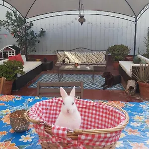 visit hotel